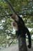 Monkeys