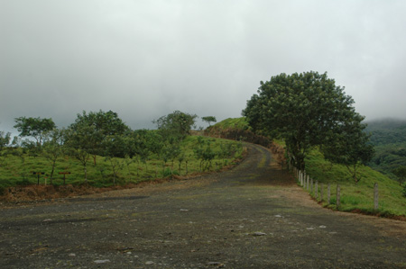 Road