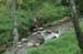 Stream