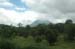 Arenal